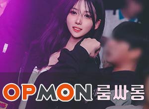 [엘리트]룸빵왕-루피대장